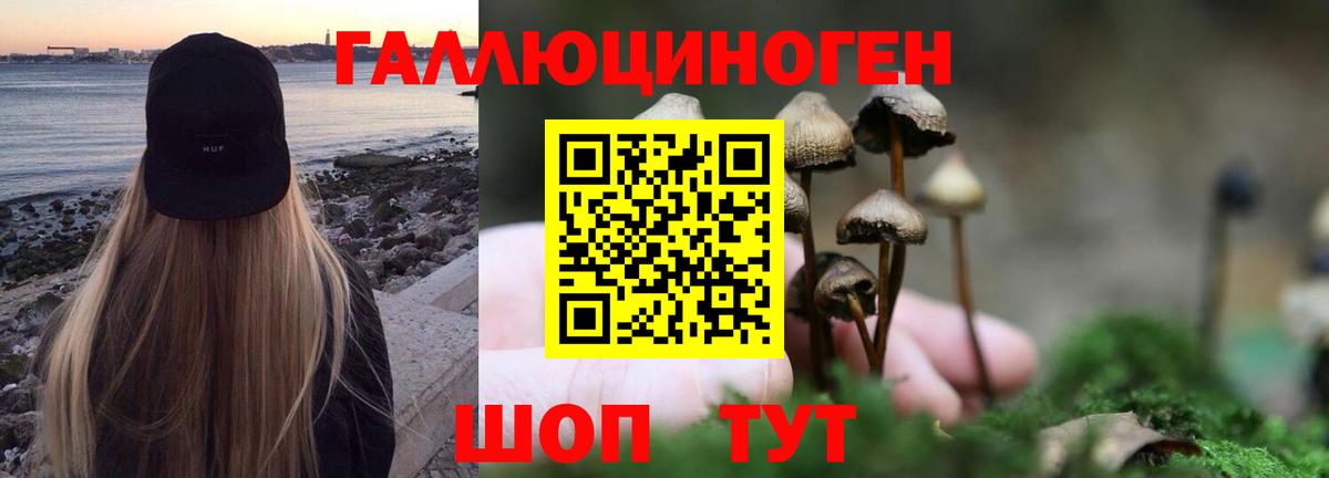 Галлюциногенные грибы GOLDEN TEACHER Йошкар-Ола