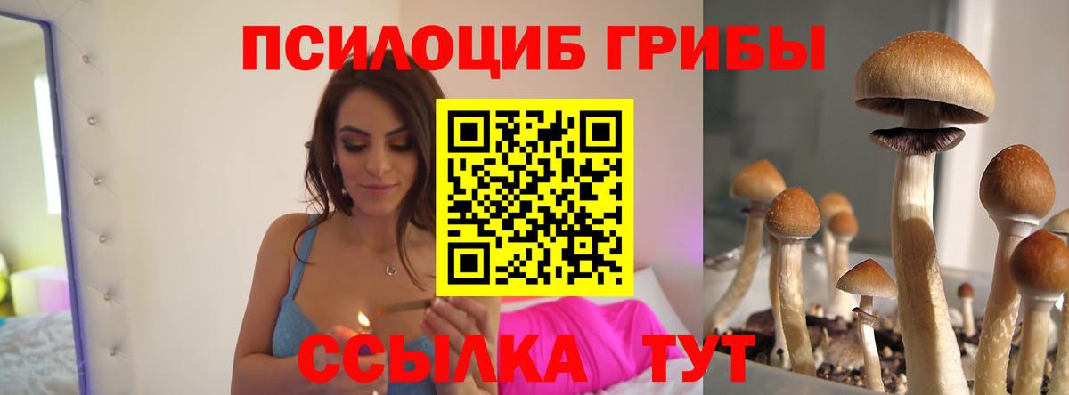 Йошкар-Ола  Галлюциногенные грибы ЛСД  Вход с VPN 